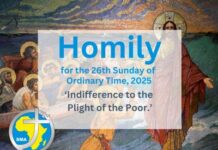 Homily for the 26th Sunday of Ordinary Time, 2025