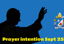 THE POPE’S PRAYER INTENTION FOR SEPTEMBER 2025 | For our relationship with all of creation