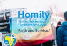 Homily for the 27th Sunday of Ordinary Time, 2025
