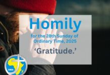Homily for the 28th Sunday of Year 2025