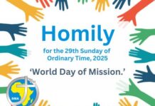 Homily for the 29th Sunday of Ordinary Time 2025
