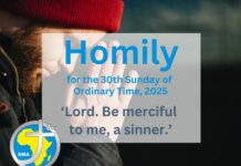 Homily for 30th Sunday of Ordinary Time 2025
