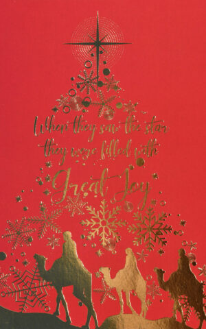 When they saw the star