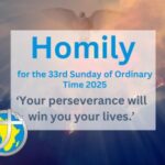 Homily for the 33rd Sunday of Ordinary Time 2025