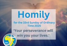 Homily for the 33rd Sunday of Ordinary Time 2025