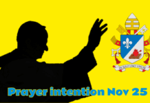 THE POPE’S PRAYER INTENTION FOR NOVEMBER 2025 | For the prevention of suicide