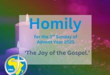 Homily for the 3rd Sunday of Advent Year 2025