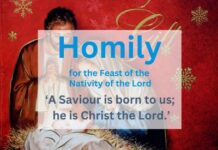 Homily for the Feast of the Nativity of the Lord, Night Time Mass, Year A, 2025