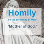 Homily on the Solemnity of Mary, Mother of God – 1 January 2026