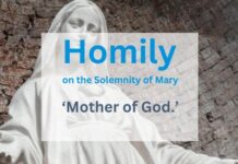 Homily on the Solemnity of Mary, Mother of God – 1 January 2026