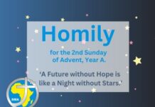 Homily for the 2nd Sunday of Advent, Year A 2025
