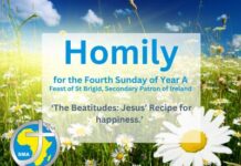 The Fourth Sunday of Ordinary Time 2026