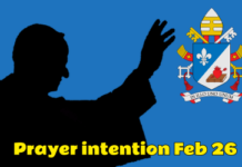 THE POPE’S PRAYER INTENTION FOR FEBRUARY 2026 | For children with incurable diseases