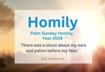 Palm Sunday Homily – Year 2026