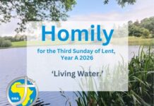 Homily for the 3rd Sunday of Lent, 2026