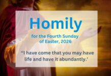 Homily for the 4th Sunday of Easter 2026 – Vocations’ Sunday