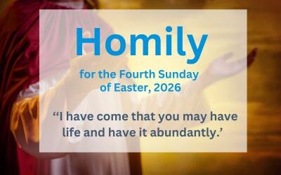 Homily for the 4th Sunday of Easter 2026 – Vocations’ Sunday