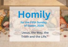 Homily on the 5th Sunday of Easter, 2026