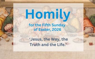Homily on the 5th Sunday of Easter, 2026