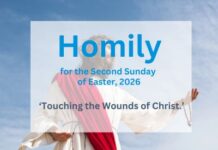 Homily for the Second Sunday of Easter 202