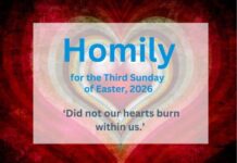 Homily for the Third Sunday of Easter 2026