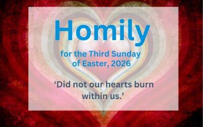 Homily for the Third Sunday of Easter 2026