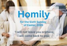 Homily for the 6th Sunday of Easter 2026