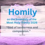 Homily on the Solemnity of the Most Holy Trinity 2026