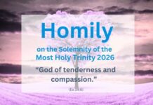 Homily on the Solemnity of the Most Holy Trinity 2026