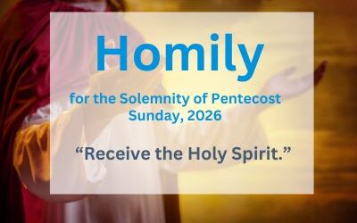 Homily for the Solemnity of Pentecost Sunday, 2026