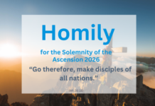Homily for the Solemnity of the Ascension 2026