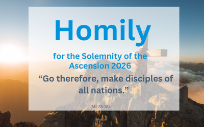 Homily for the Solemnity of the Ascension 2026