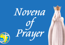 The Society of African Missions celebrates Mary’s Month