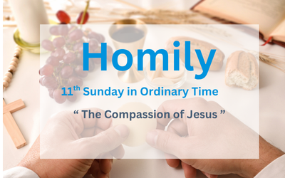 Homily for the 11th Sunday of Ordinary Time 2026