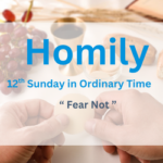 Homily for the 12th Sunday of Ordinary Time 2026