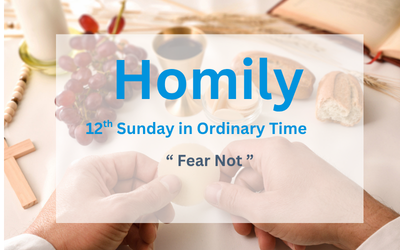 Homily for the 12th Sunday of Ordinary Time 2026