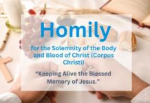 Homily for the Solemnity of the Body and Blood of Christ (Corpus Christi) 2026