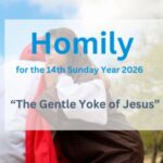 Homily for the 14th Sunday Year 2026
