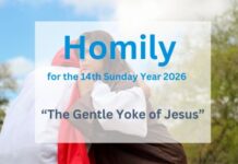 Homily for the 14th Sunday Year 2026
