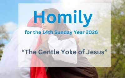Homily for the 14th Sunday Year 2026