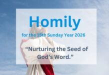 Homily for the 15th Sunday of Ordinary Time, Year A