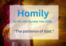 Homily for the 16th Sunday of Ordinary Time, Year A