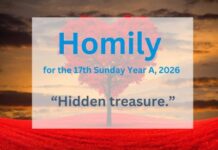 Homily for the 17th Sunday of Year A, 2026