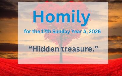 Homily for the 17th Sunday of Year A, 2026