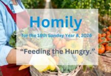 Homily for the 18th Sunday of Ordinary Time 2026