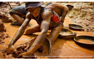 Growing social alarm across Africa over the damage caused by illegal mining