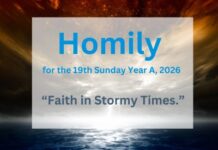 Homily for the 19th Sunday of Ordinary Time 2026