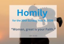 Homily for the 20th Sunday of Ordinary Time, 2026