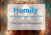 Homily for the 22nd Sunday of Ordinary Time 2026