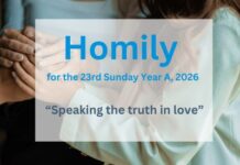 Homily for the 23rd Sunday of Ordinary Time 2026